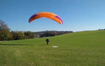 Timtim ist jetzt Pilot